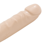 0212-01-CD-5-1.png
