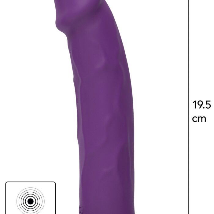 10150_PURPLE_01.jpg 10150_PURPLE_01.jpg