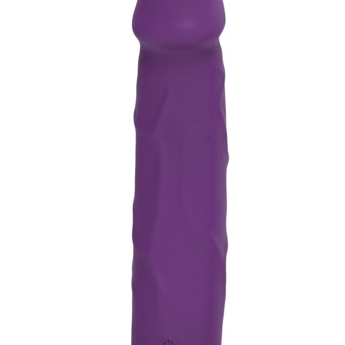 10150_PURPLE_03.jpg 10150_PURPLE_03.jpg