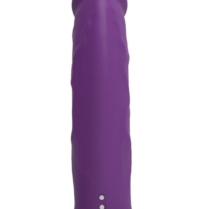 10150_PURPLE_05.jpg 10150_PURPLE_05.jpg