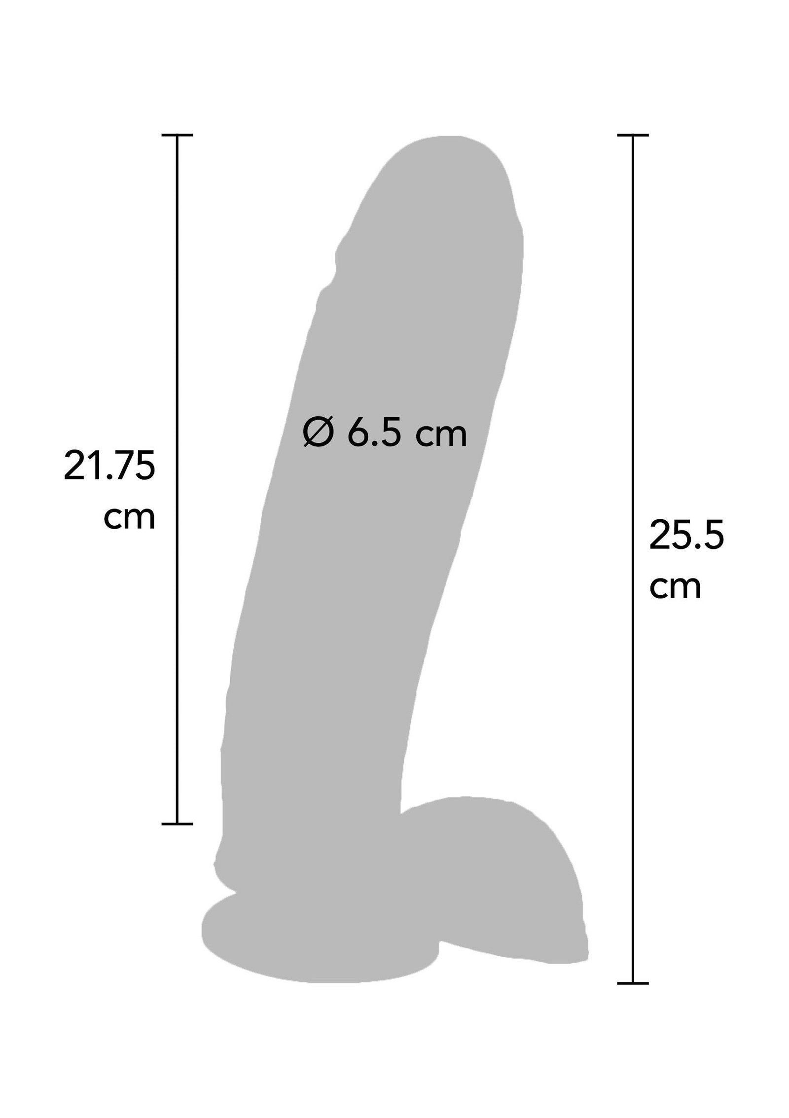 Vibrating Dildo PVC 25.5 cm 2