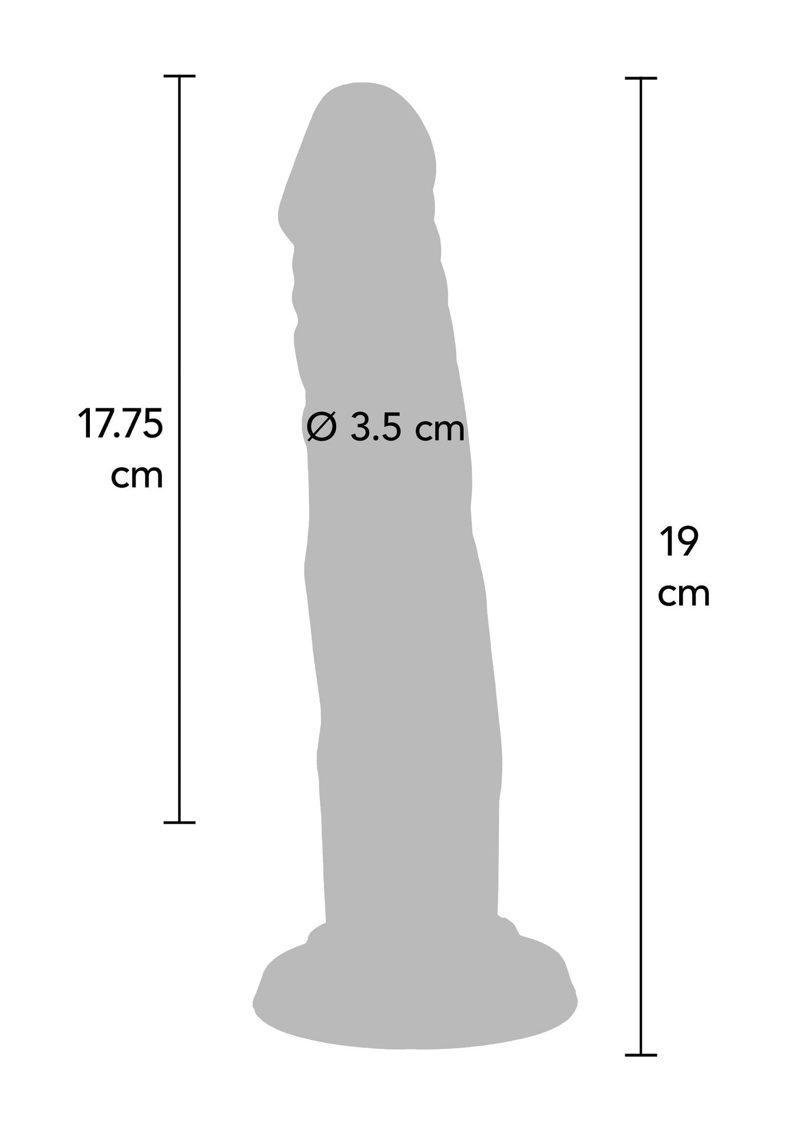 Dong Silicone 19 cm 2