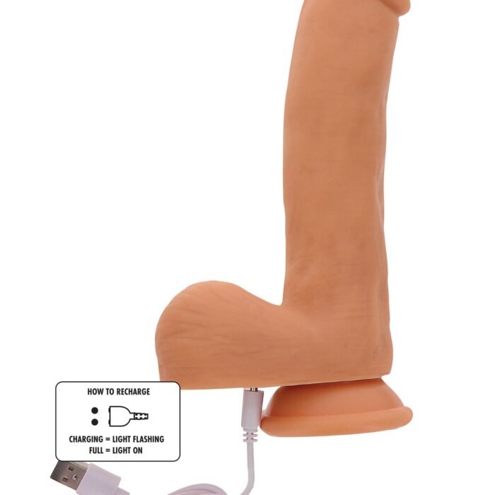 10212_SKIN_04.jpg