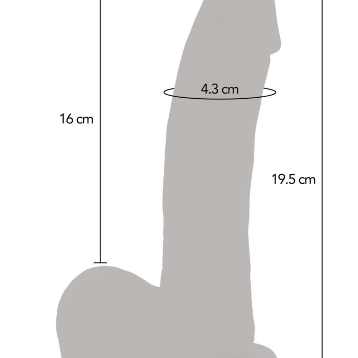 10212_SKIN_07.jpg