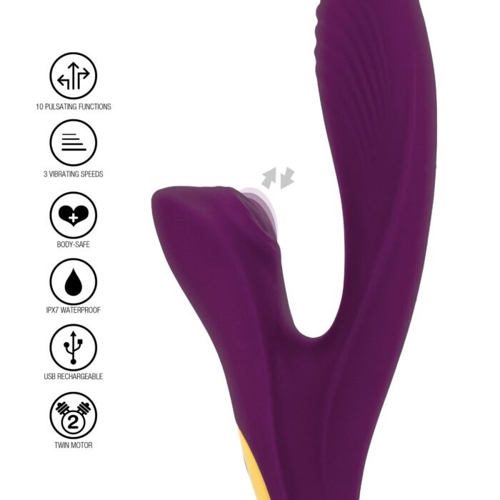10370_PURPLE_05.jpg