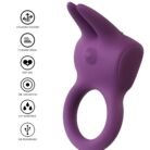 10381_PURPLE_03.jpg