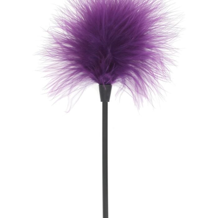 10443_PURPLE_07.jpg