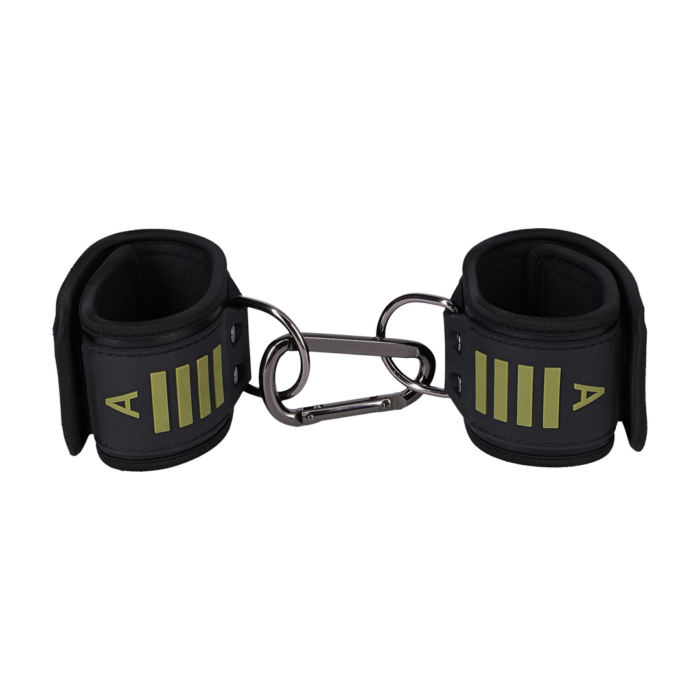 1103-02-CD-5.png