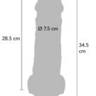 11241_SKIN_09.jpg