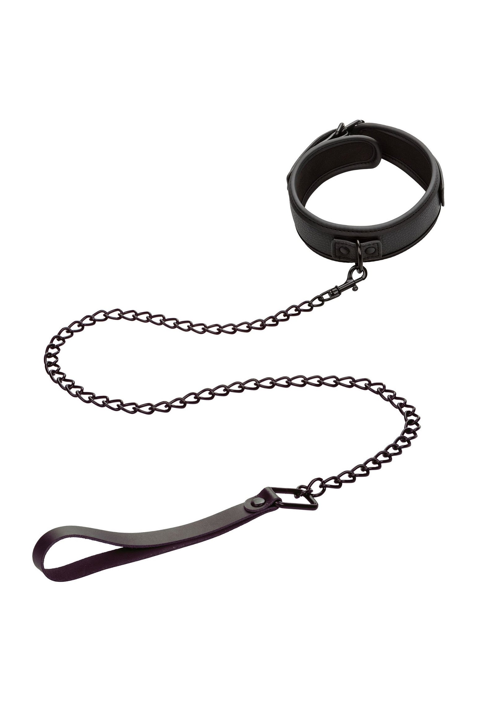 Nocturnal Collar &amp; Leash