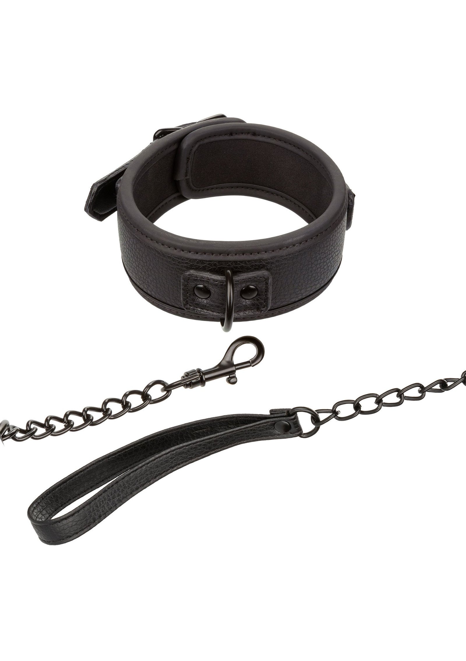 Nocturnal Collar & Leash 6
