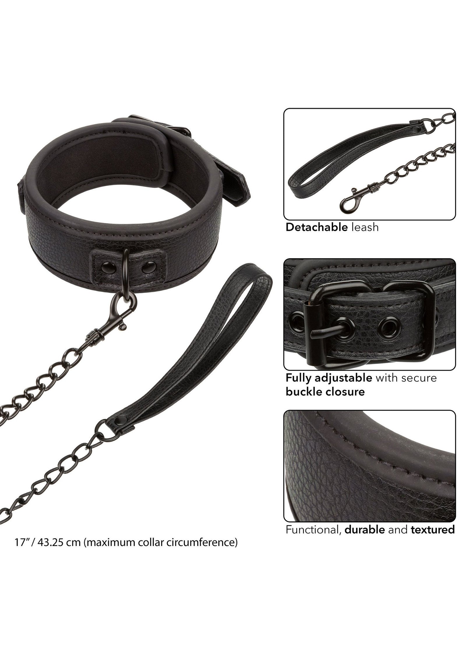 Nocturnal Collar & Leash 4