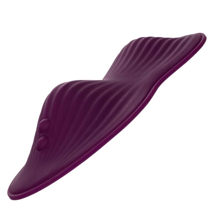 12006_PURPLE_012.jpg