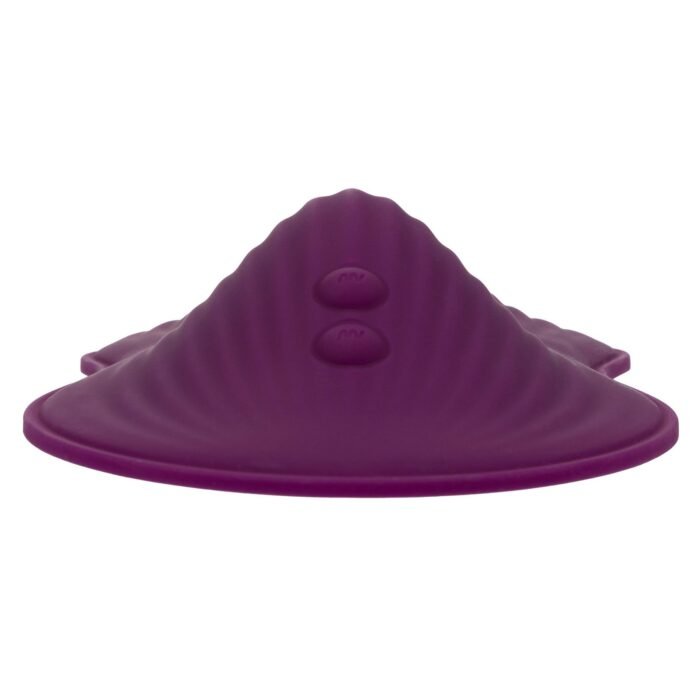 12006_PURPLE_05.jpg