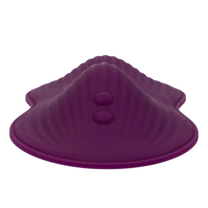 12006_PURPLE_06.jpg