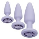 12016_PURPLE_01.jpg