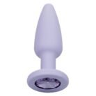 12016_PURPLE_010.jpg