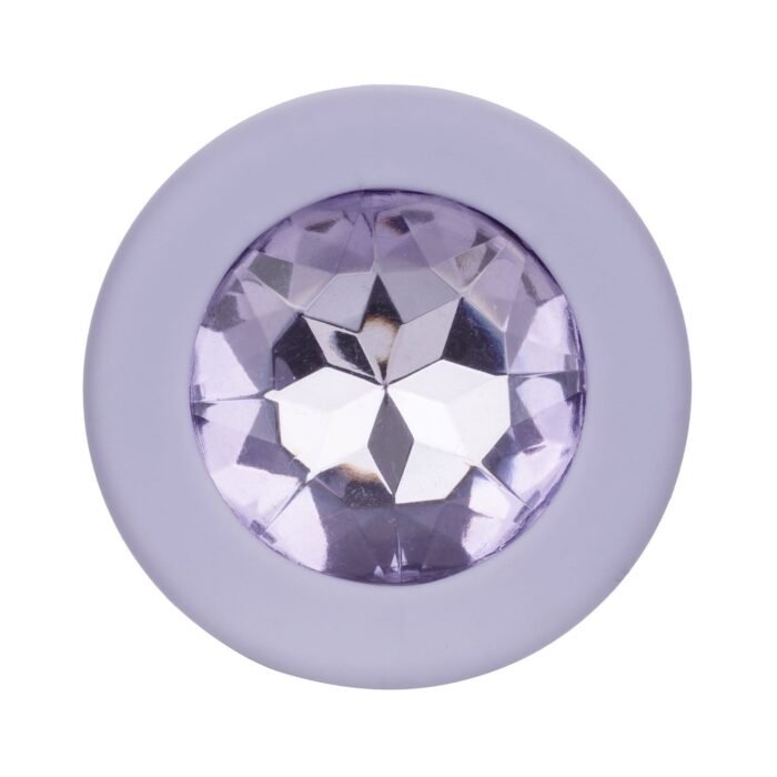 12016_PURPLE_020.jpg