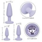 12016_PURPLE_04.jpg