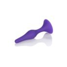 12151_PURPLE_03.jpg