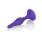 12151_PURPLE_04.jpg