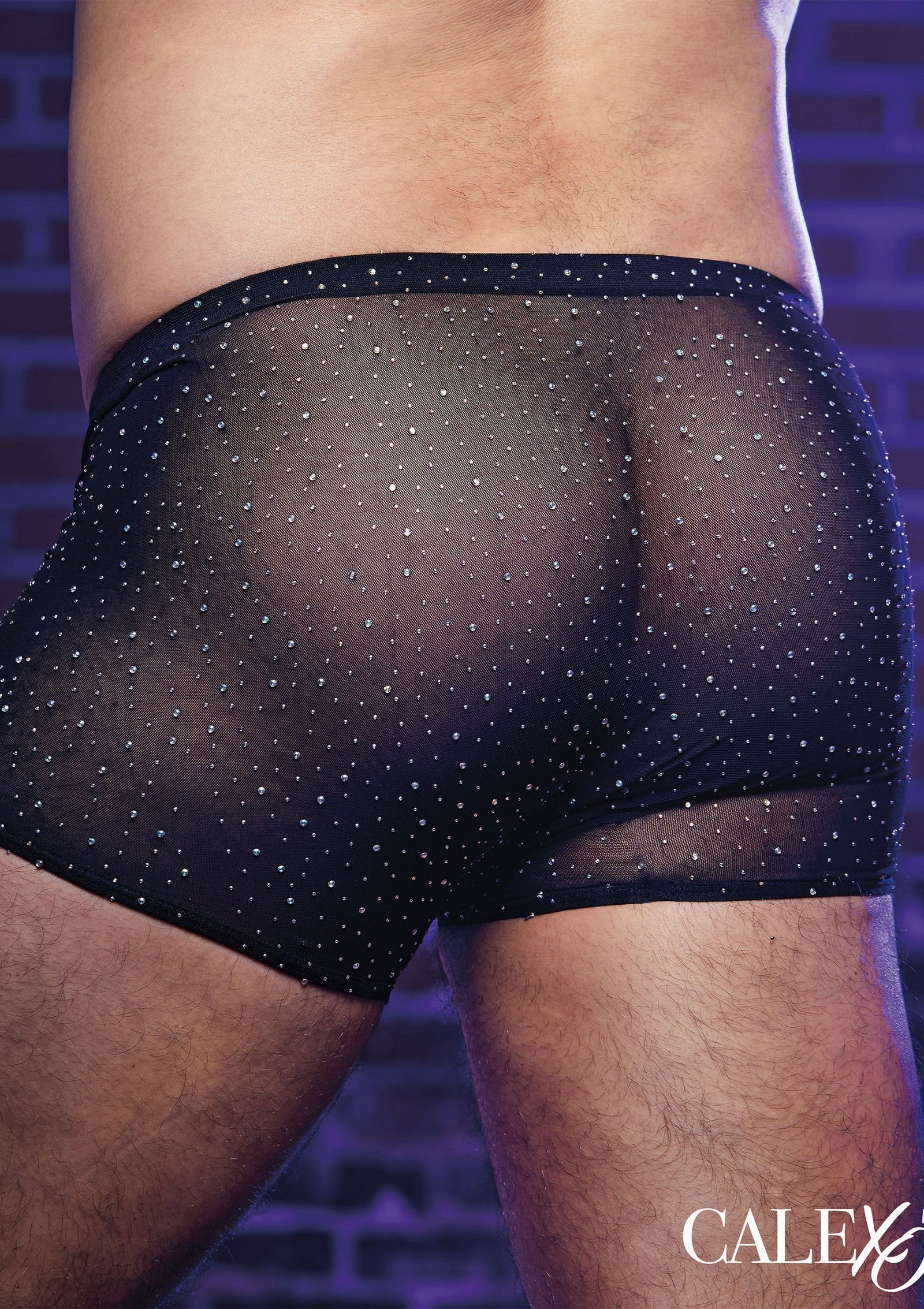 Radiance Boxer Briefs 5