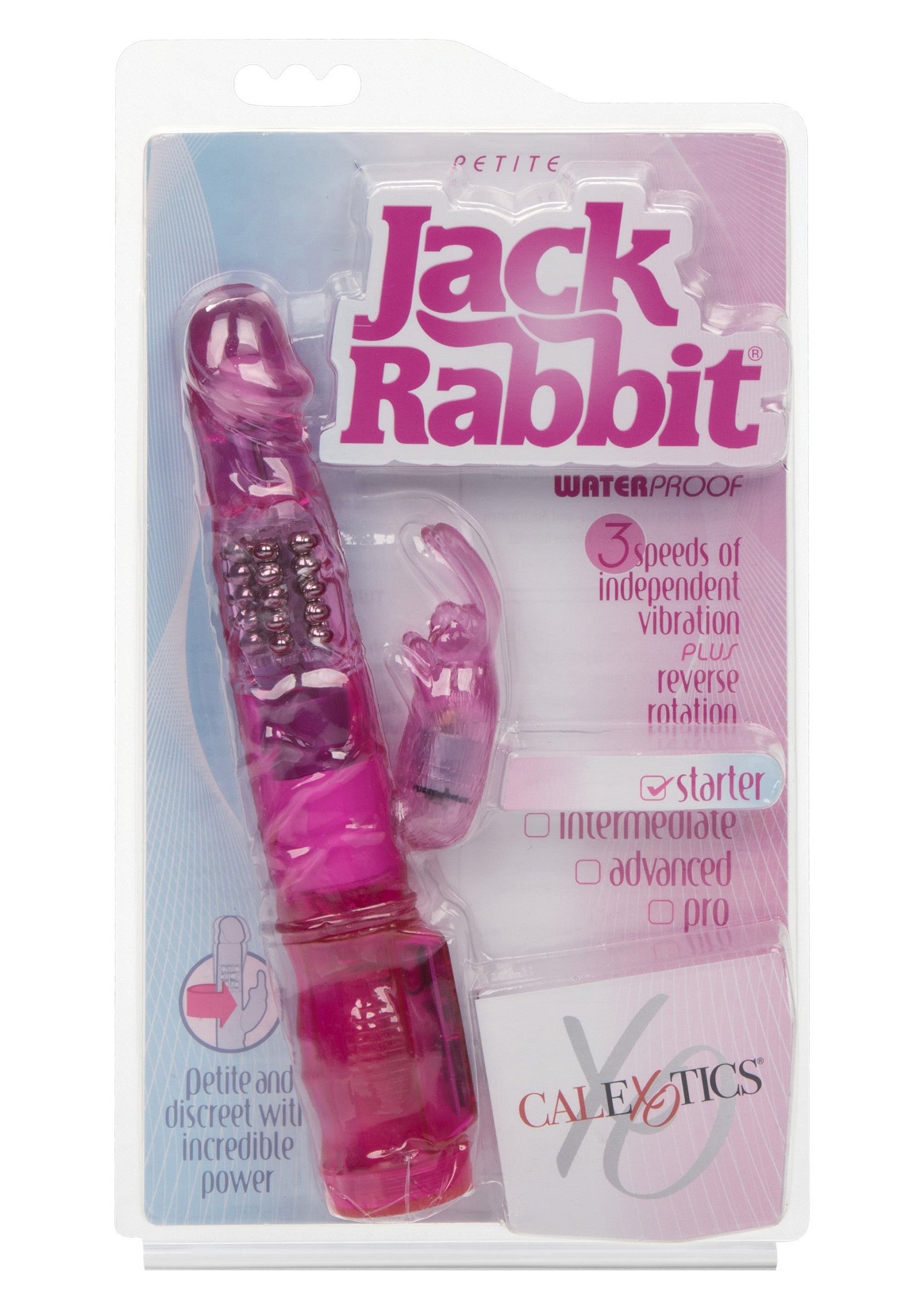 Petite Jack Rabbit 2