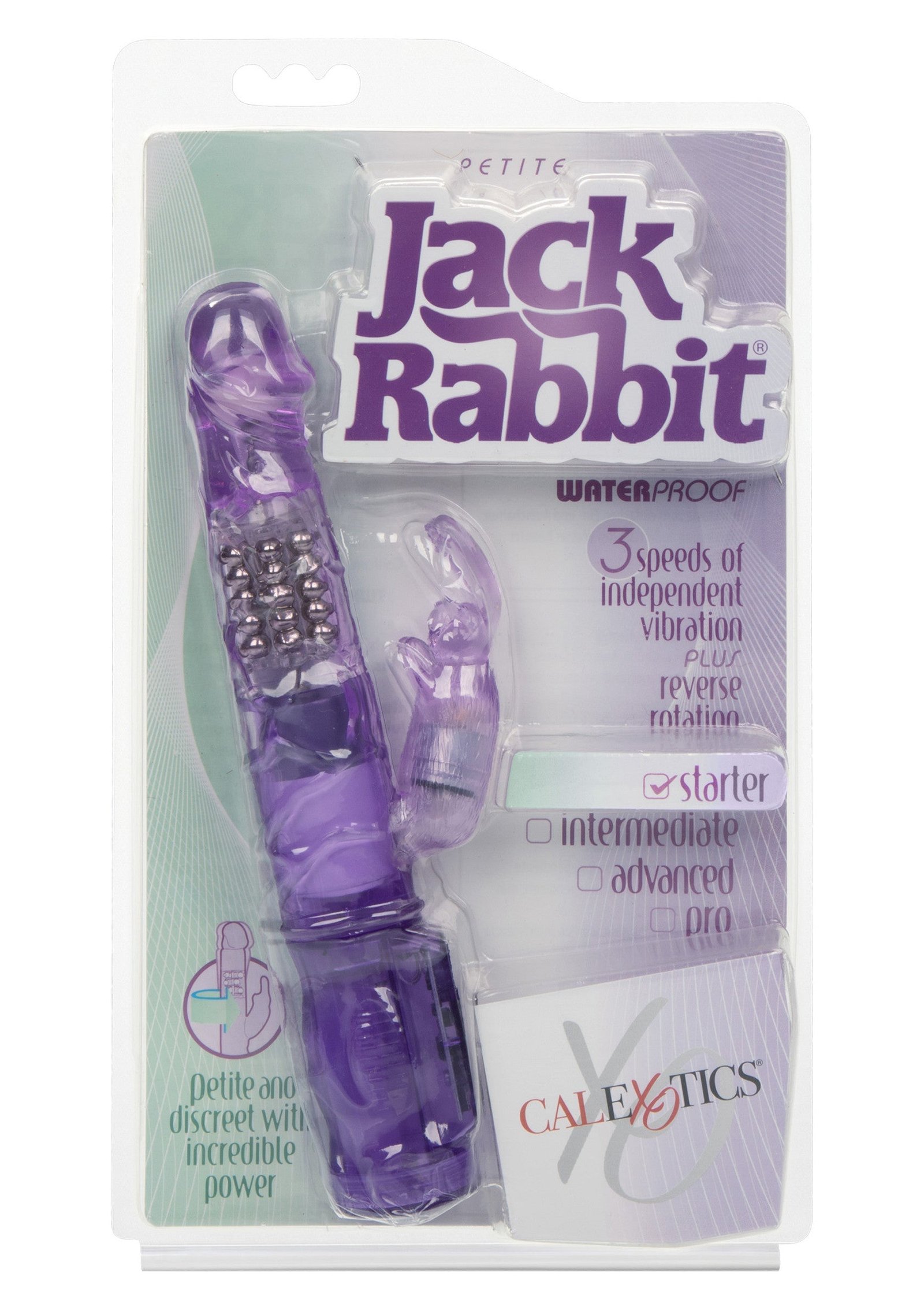 Petite Jack Rabbit 2