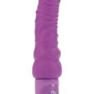 12560_PURPLE_01-1.jpg