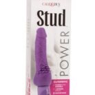 12561_PURPLE_02.jpg