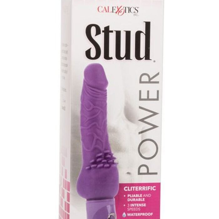 12561_PURPLE_02.jpg