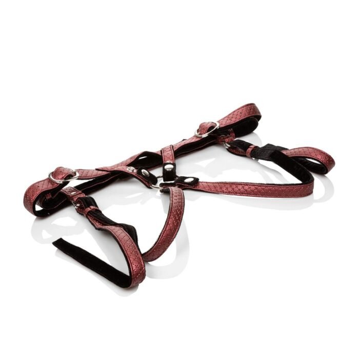 12860_RED_04.jpg