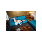 1308C-WHT-8.png