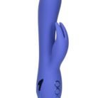 13452_PURPLE_01.jpg