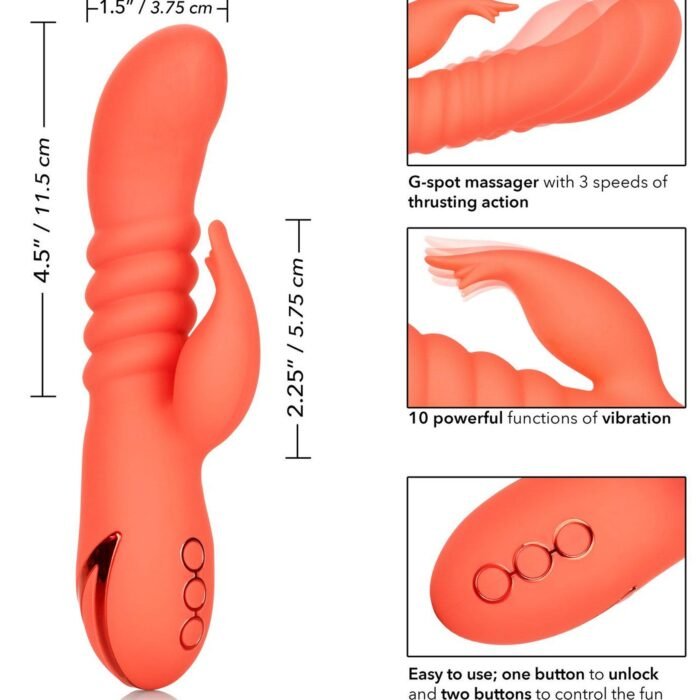 13453_ORANGE_04.jpg