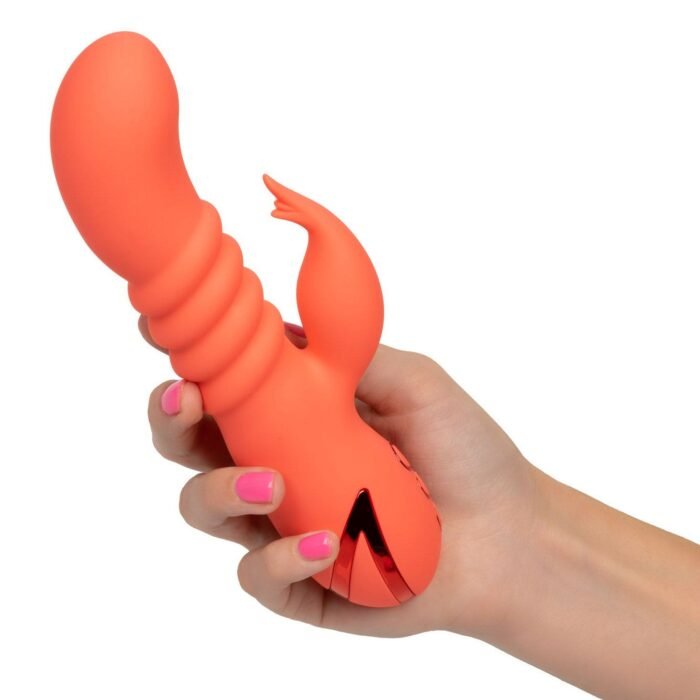 13453_ORANGE_07.jpg