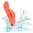 13453_ORANGE_08.jpg
