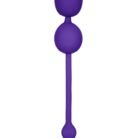13473_PURPLE_01.jpg