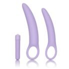 13548_PURPLE_01.jpg