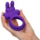 13672_PURPLE_07.jpg