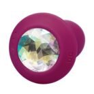13685_PURPLE_03.jpg