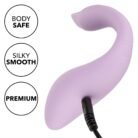 13818_PURPLE_06.jpg