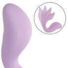 13818_PURPLE_09.jpg