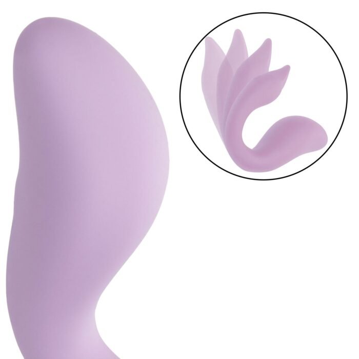 13818_PURPLE_09.jpg