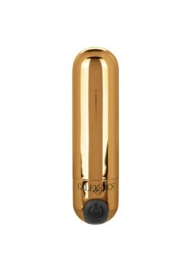 Rechargeable Hideaway Bullet