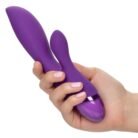 14044_PURPLE_04.jpg