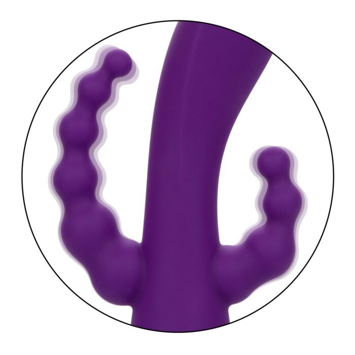 14361_PURPLE_010.jpg