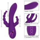 14361_PURPLE_04.jpg