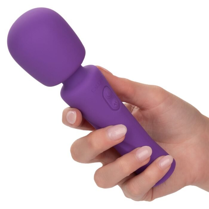 14941_PURPLE_06.jpg