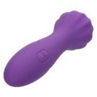 14945_PURPLE_06.jpg